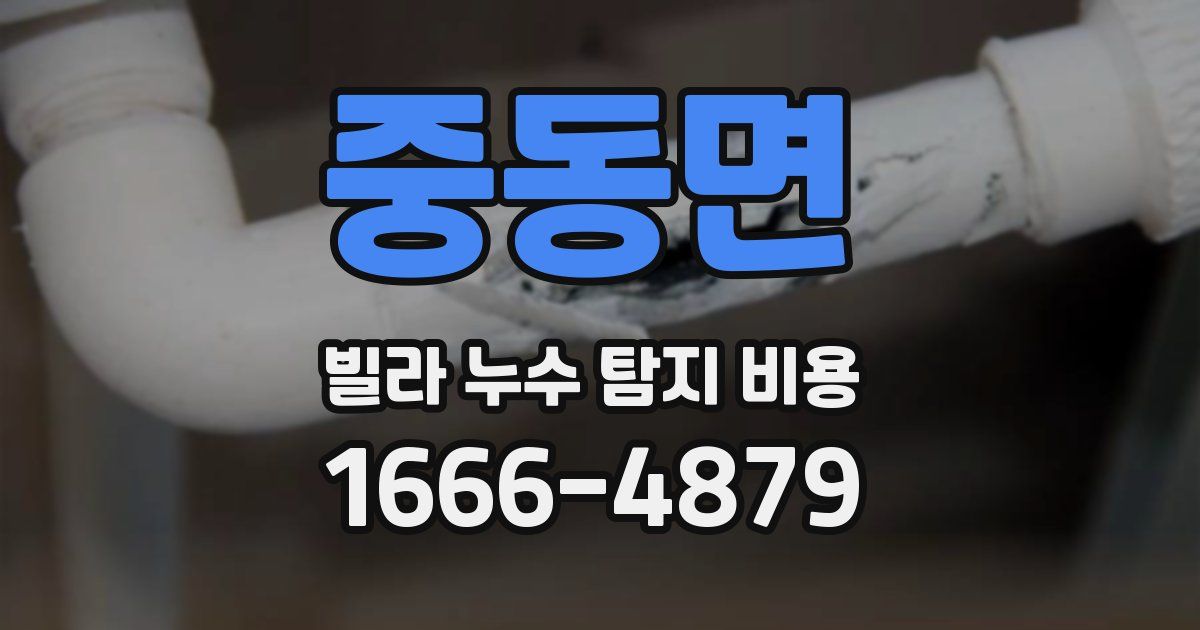 중동면 빌라 누수 탐지 비용