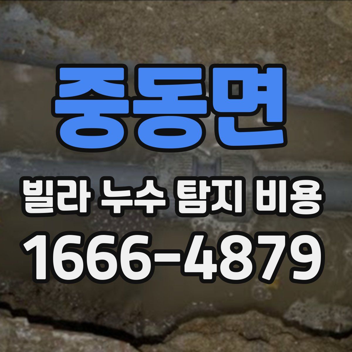 중동면 빌라 누수 탐지 비용
