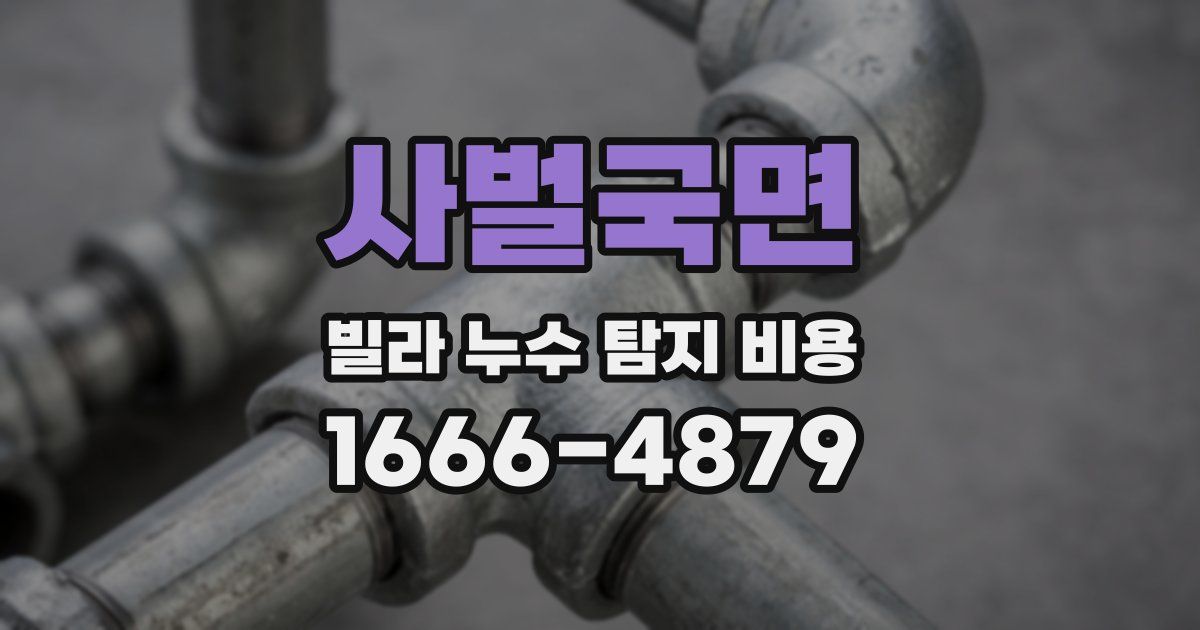 사벌국면 빌라 누수 탐지 비용