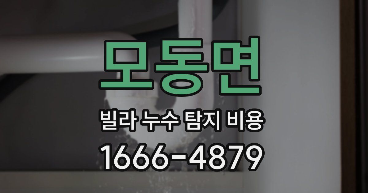모동면 빌라 누수 탐지 비용