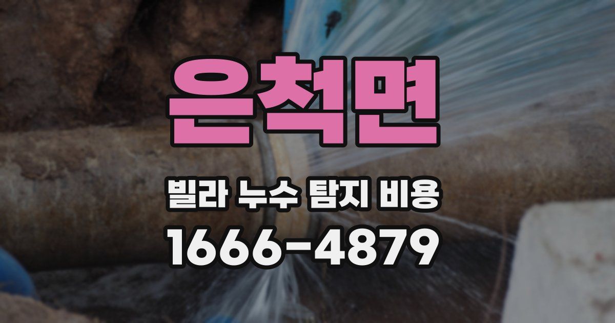 은척면 빌라 누수 탐지 비용