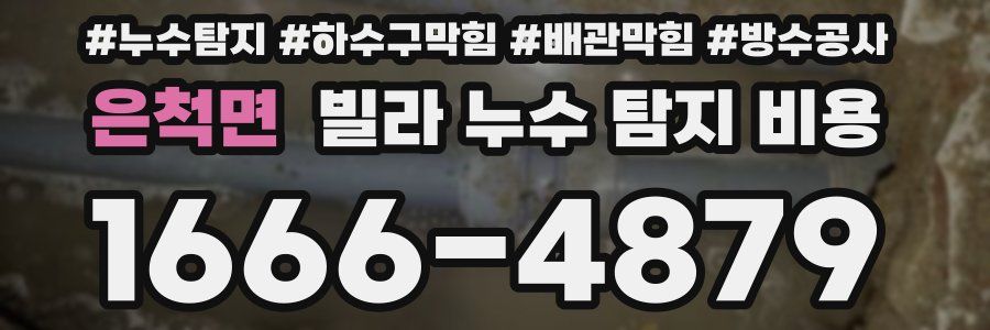 은척면 빌라 누수 탐지 비용