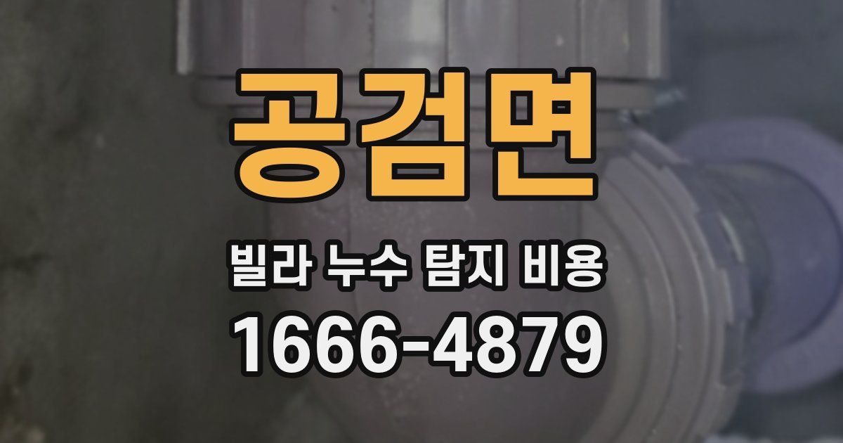 공검면 빌라 누수 탐지 비용