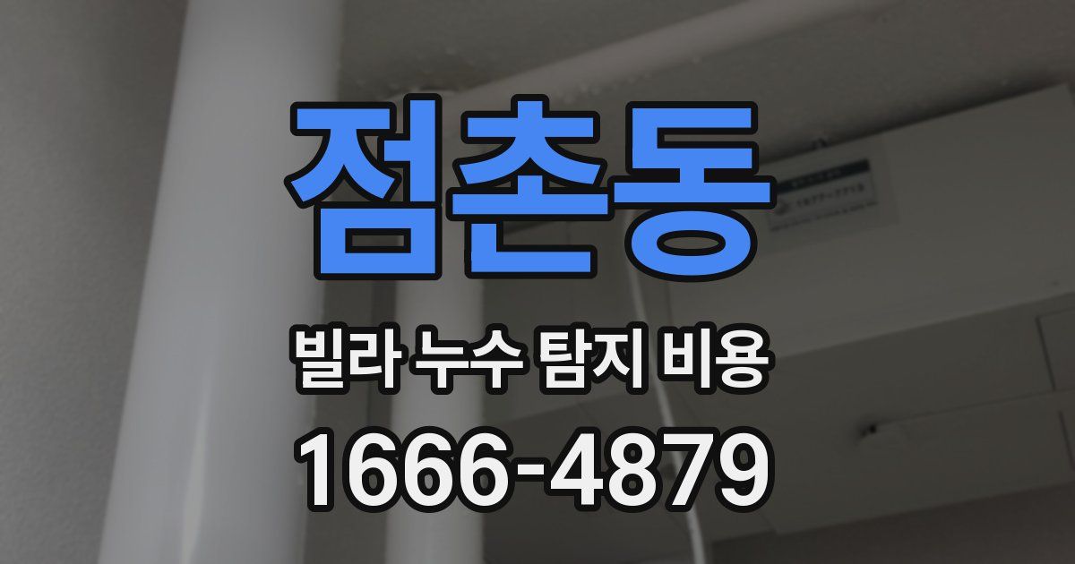 점촌동 빌라 누수 탐지 비용