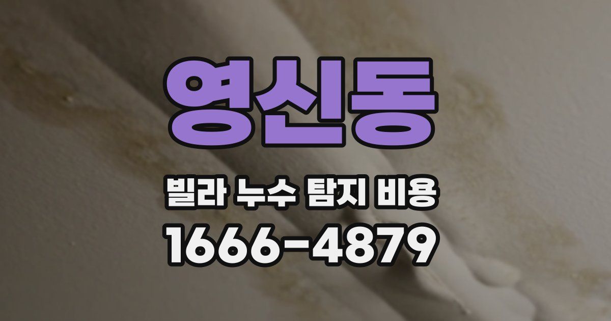 영신동 빌라 누수 탐지 비용