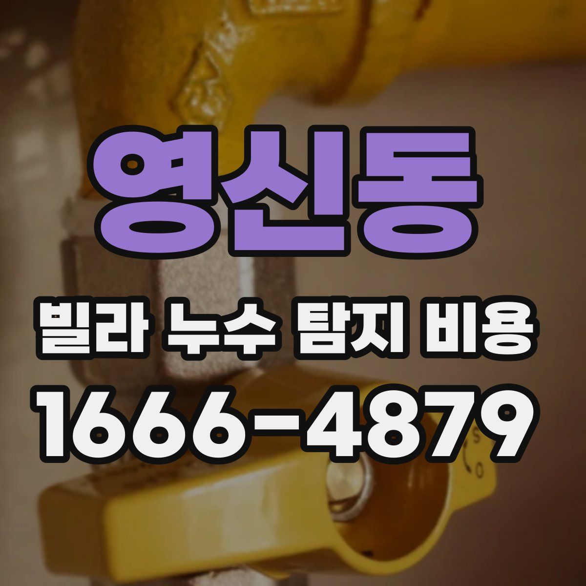 영신동 빌라 누수 탐지 비용