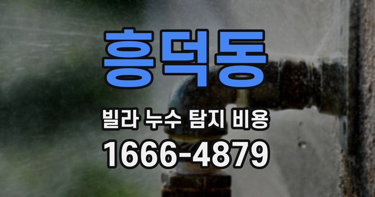 흥덕동 빌라 누수 탐지 비용