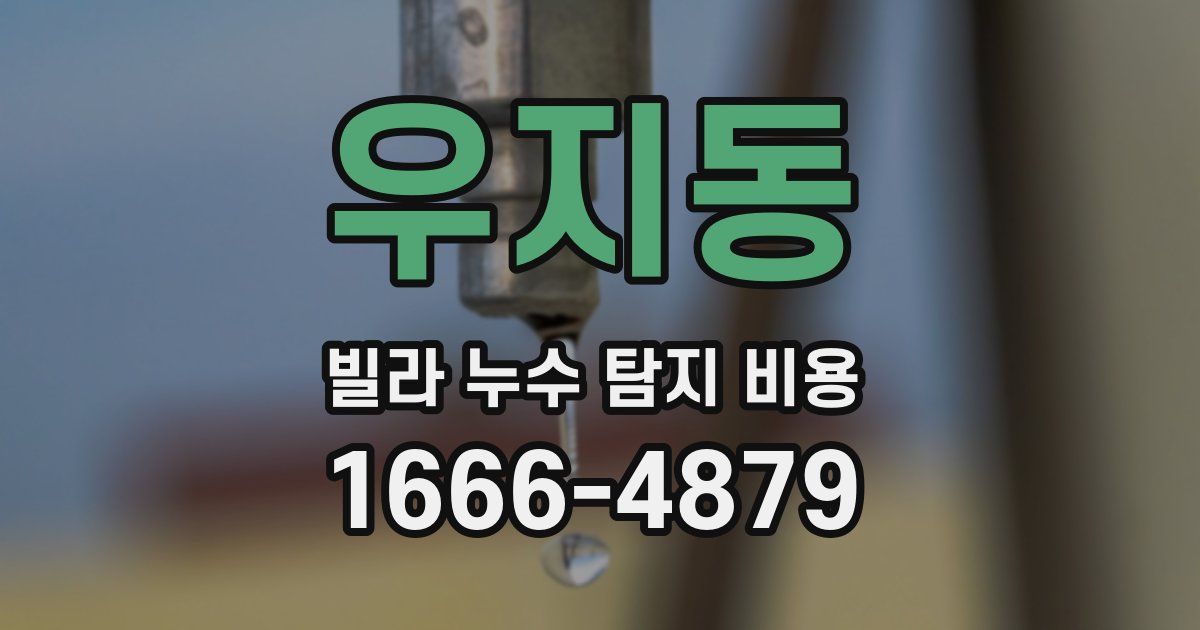 우지동 빌라 누수 탐지 비용