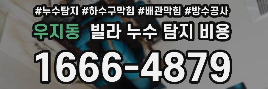 우지동 빌라 누수 탐지 비용