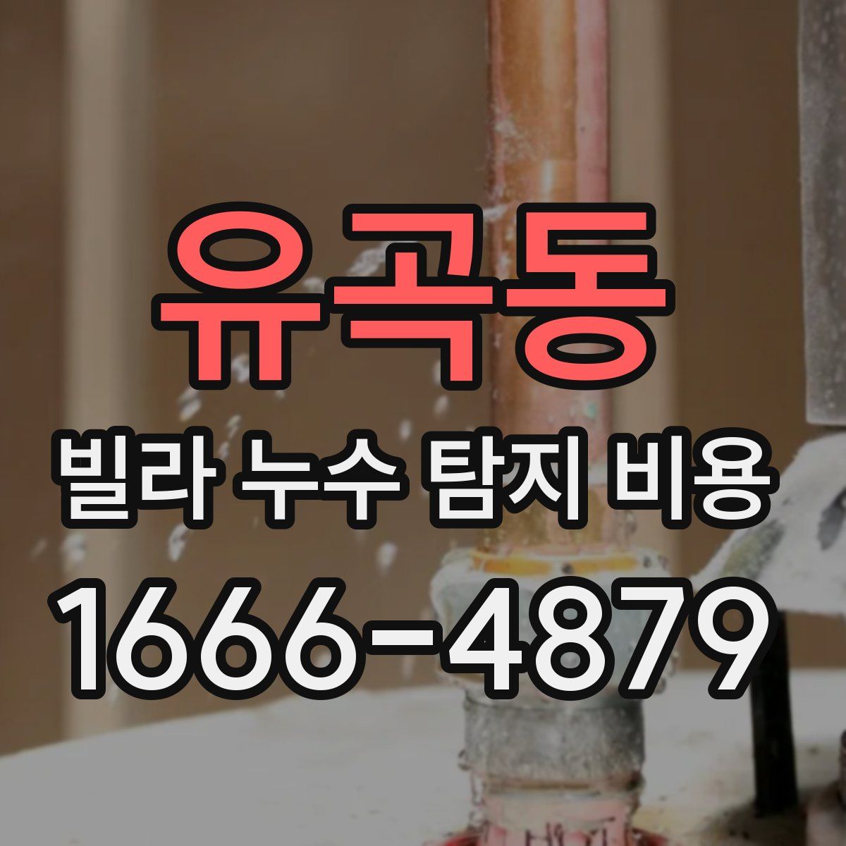 유곡동 빌라 누수 탐지 비용