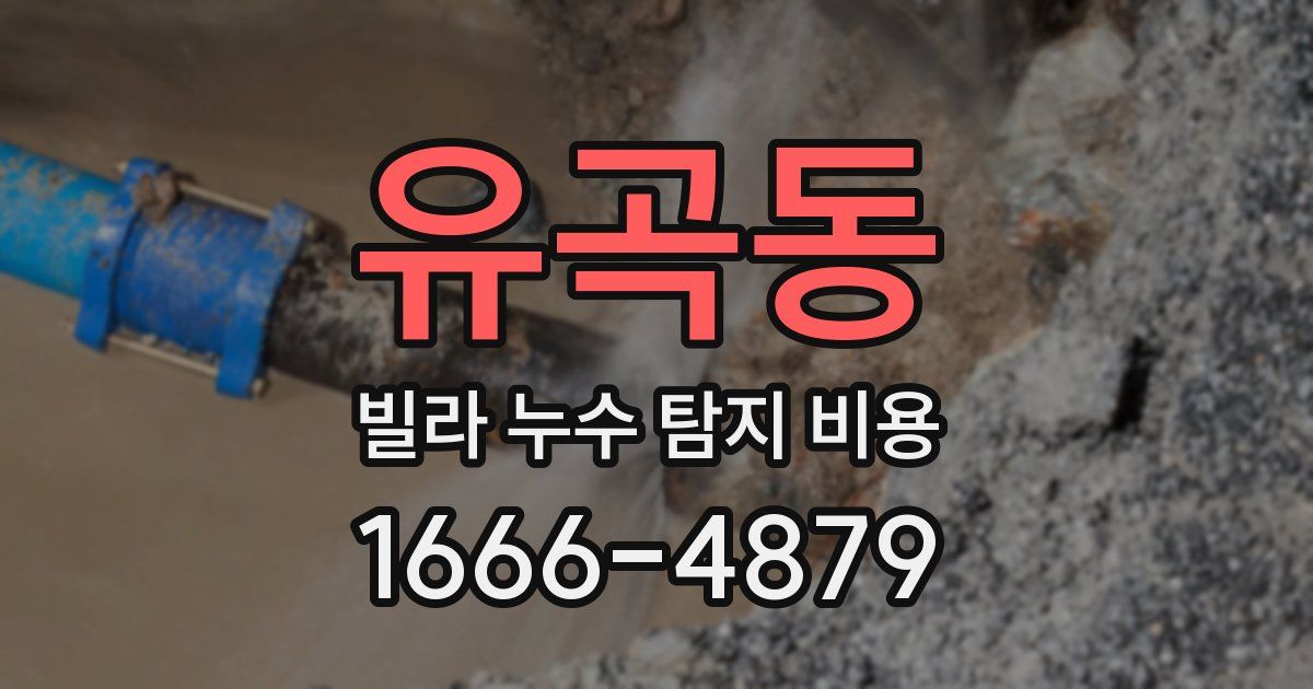 유곡동 빌라 누수 탐지 비용