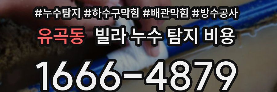유곡동 빌라 누수 탐지 비용