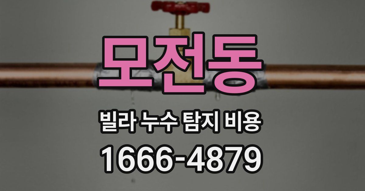 모전동 빌라 누수 탐지 비용