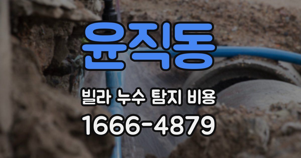 윤직동 빌라 누수 탐지 비용