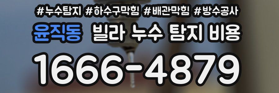 윤직동 빌라 누수 탐지 비용