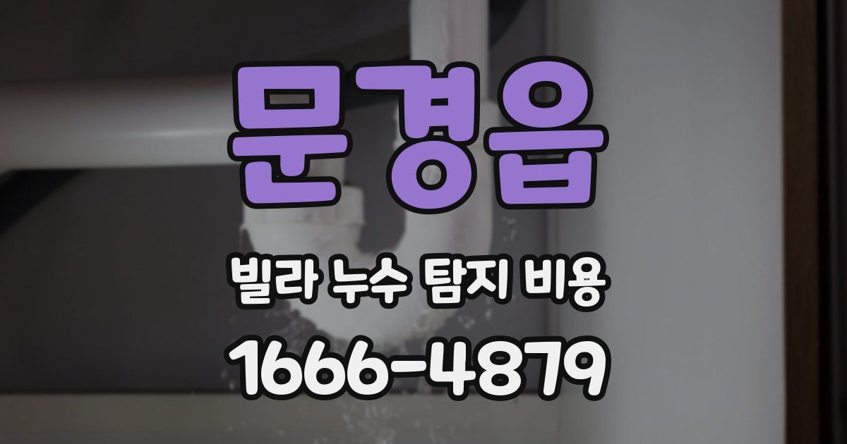 문경읍 빌라 누수 탐지 비용