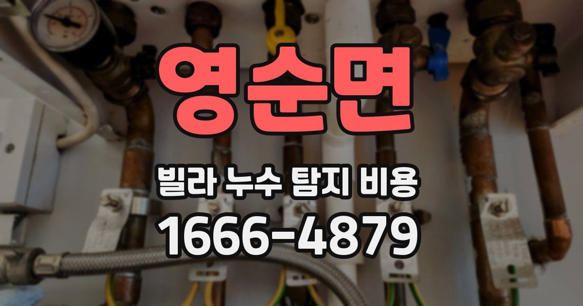 영순면 빌라 누수 탐지 비용