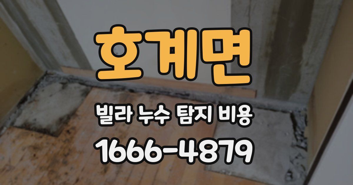 호계면 빌라 누수 탐지 비용