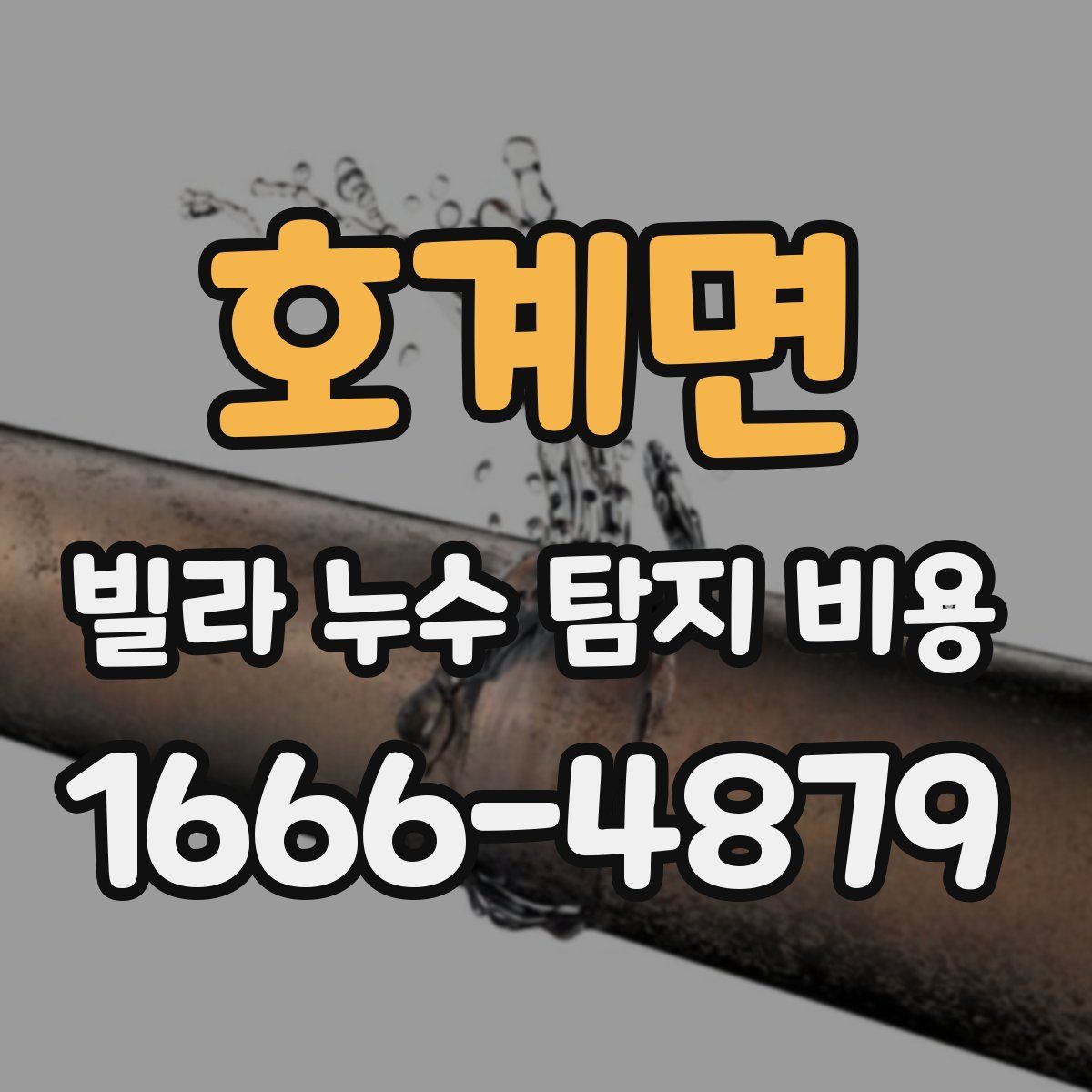 호계면 빌라 누수 탐지 비용