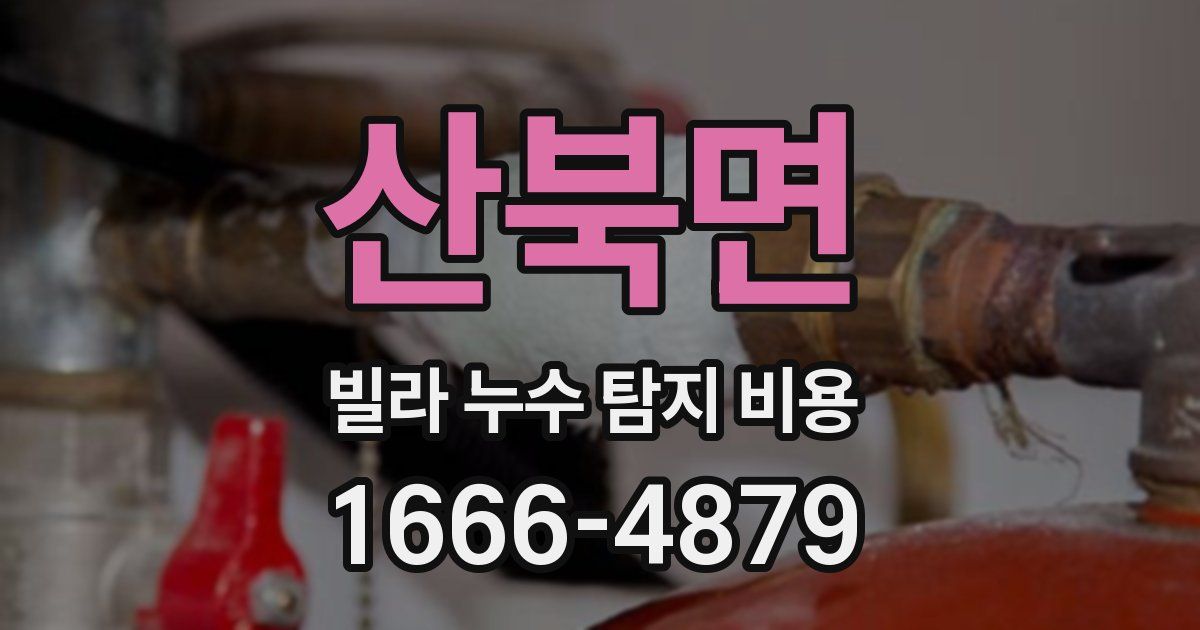 산북면 빌라 누수 탐지 비용