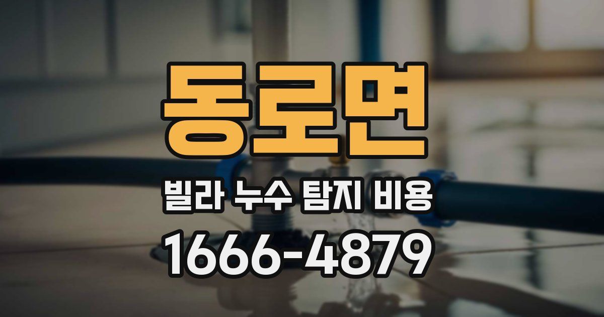 동로면 빌라 누수 탐지 비용