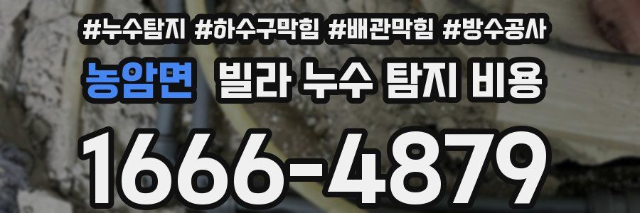 농암면 빌라 누수 탐지 비용