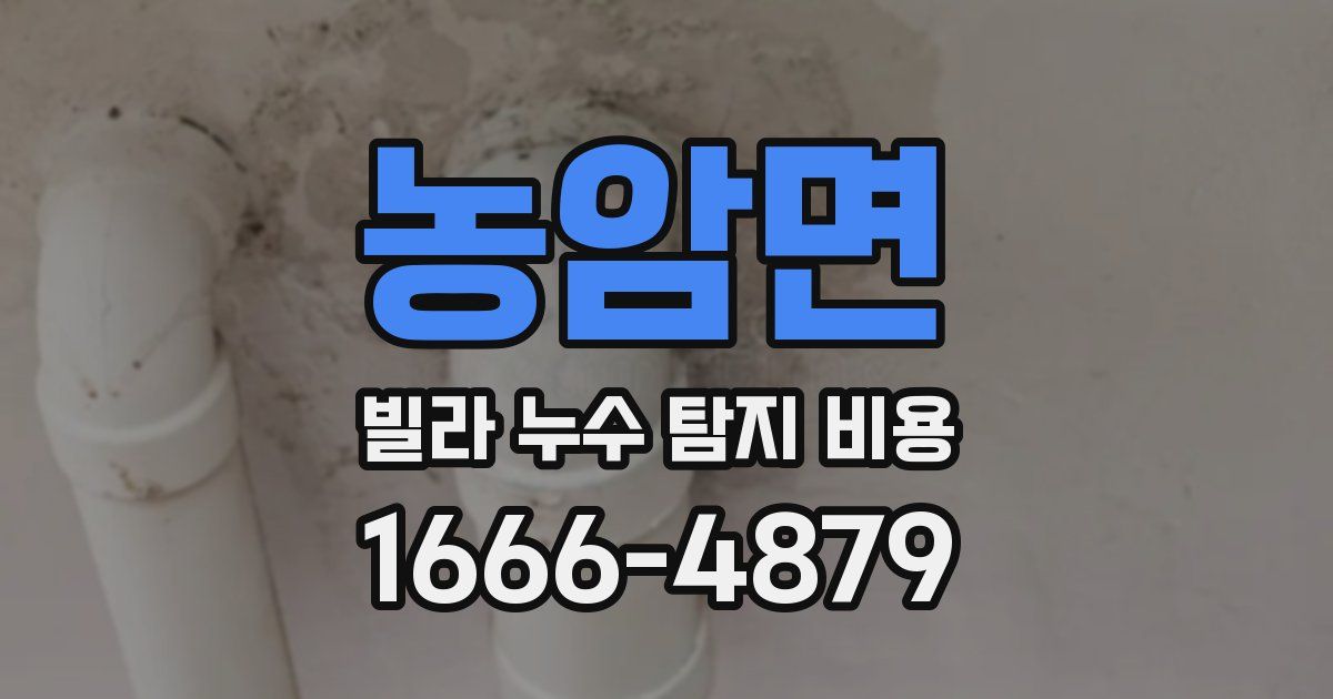 농암면 빌라 누수 탐지 비용