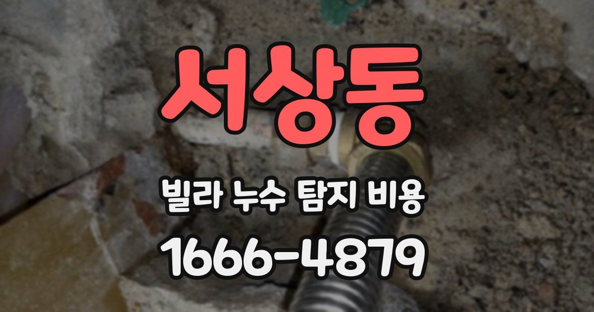 서상동 빌라 누수 탐지 비용