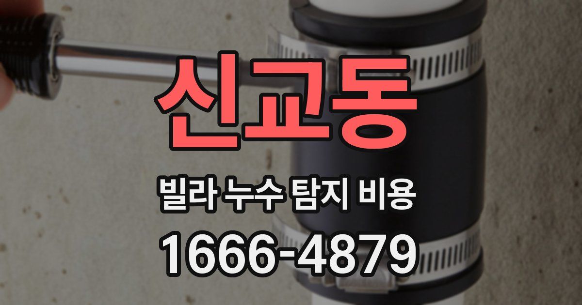 신교동 빌라 누수 탐지 비용