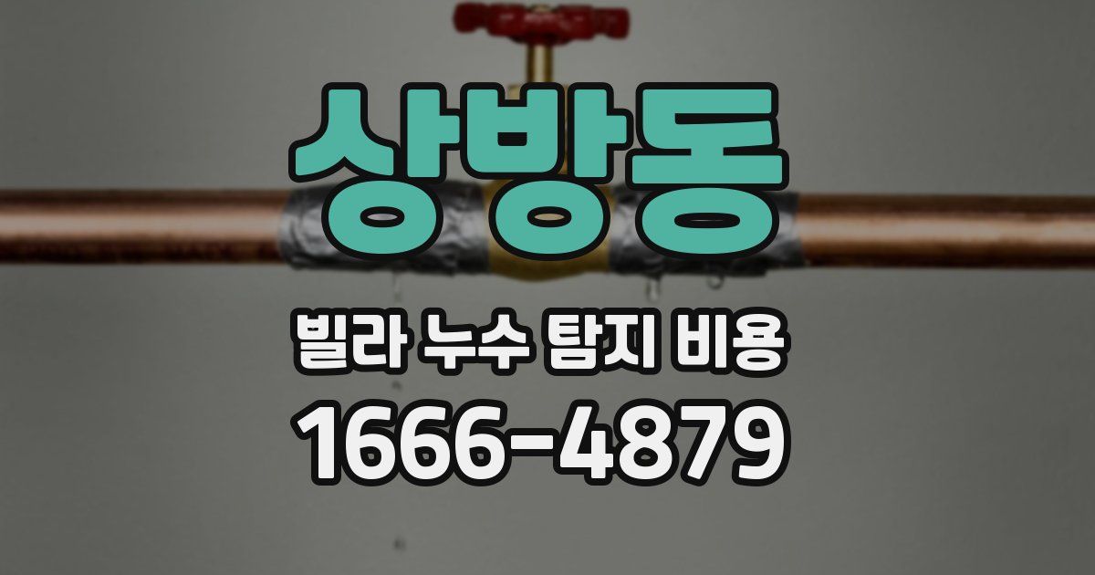 상방동 빌라 누수 탐지 비용