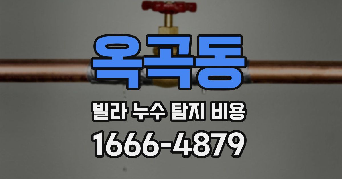 옥곡동 빌라 누수 탐지 비용