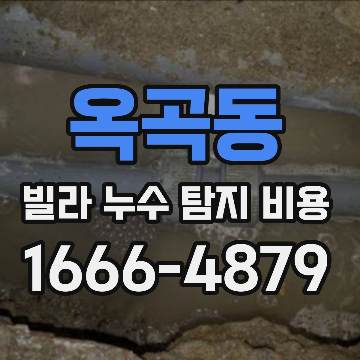 옥곡동 빌라 누수 탐지 비용