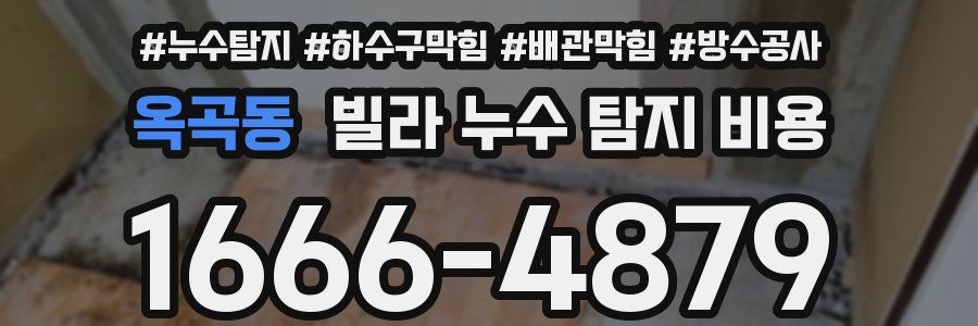 옥곡동 빌라 누수 탐지 비용