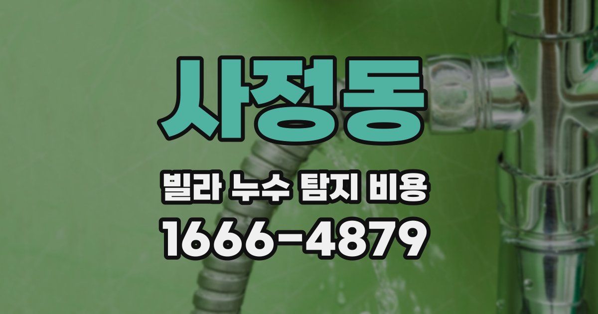 사정동 빌라 누수 탐지 비용