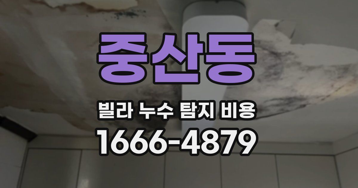 중산동 빌라 누수 탐지 비용