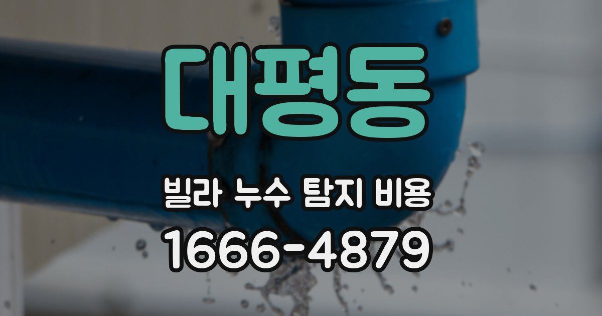 대평동 빌라 누수 탐지 비용