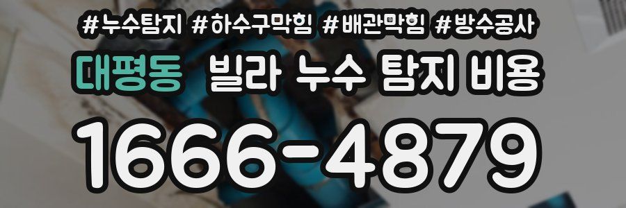 대평동 빌라 누수 탐지 비용