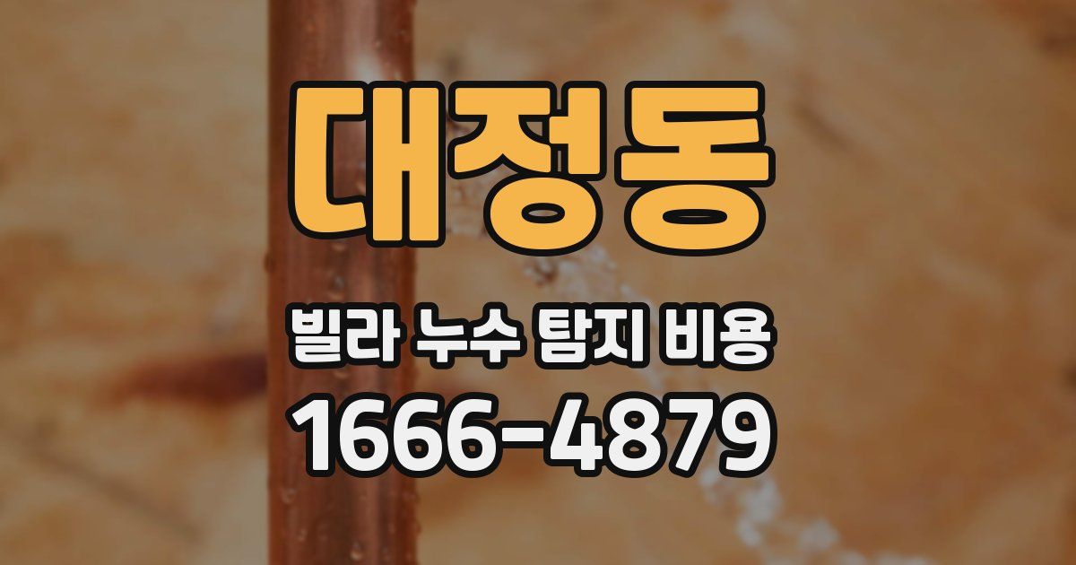 대정동 빌라 누수 탐지 비용
