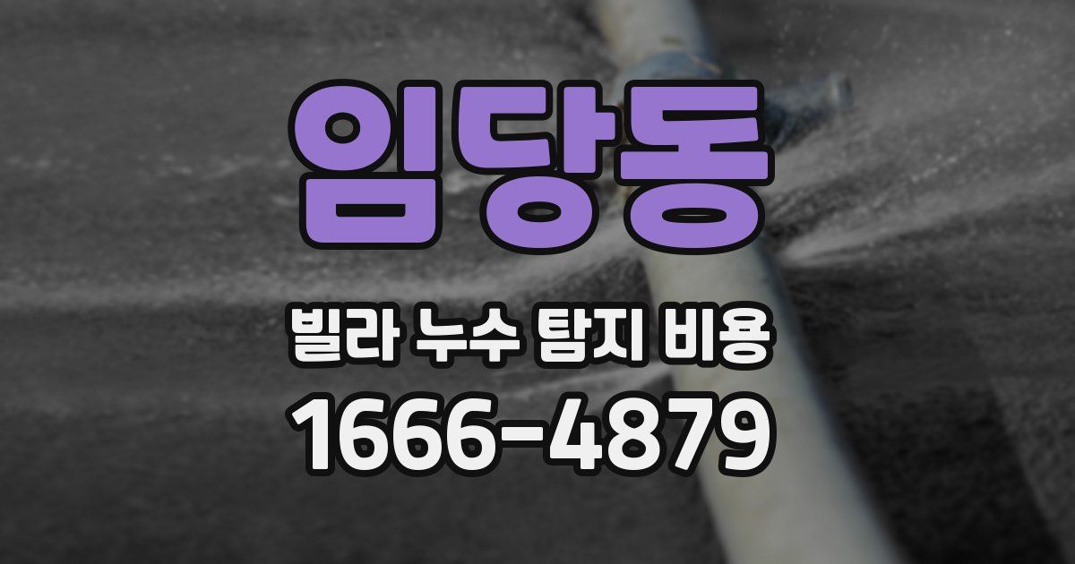 임당동 빌라 누수 탐지 비용