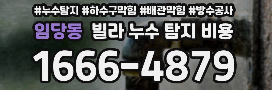 임당동 빌라 누수 탐지 비용