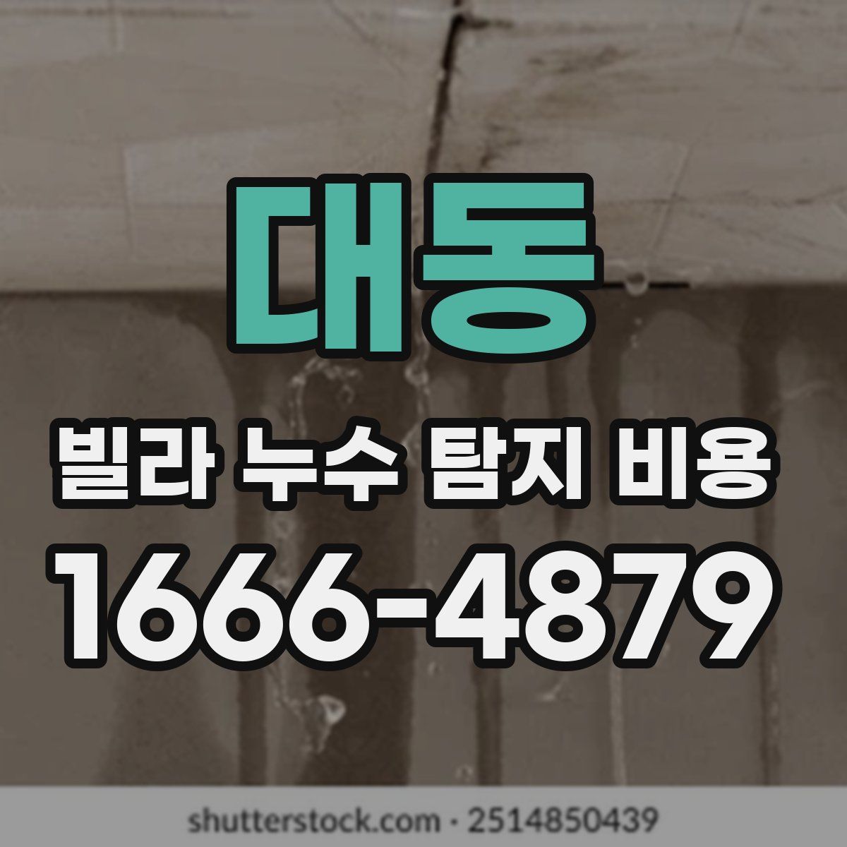 대동 빌라 누수 탐지 비용