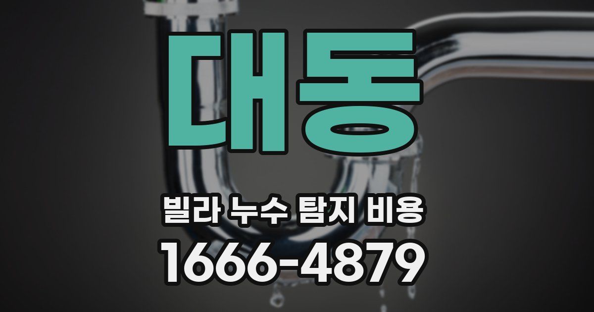 대동 빌라 누수 탐지 비용