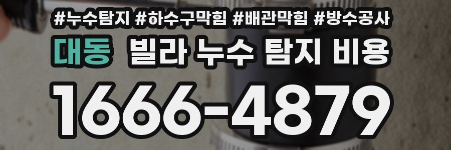 대동 빌라 누수 탐지 비용