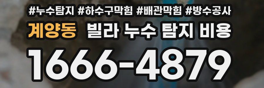 계양동 빌라 누수 탐지 비용