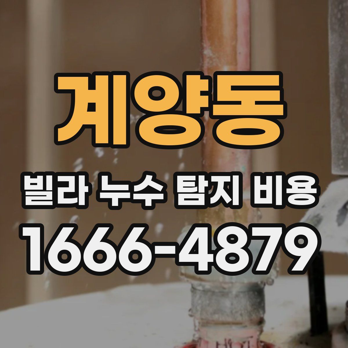계양동 빌라 누수 탐지 비용