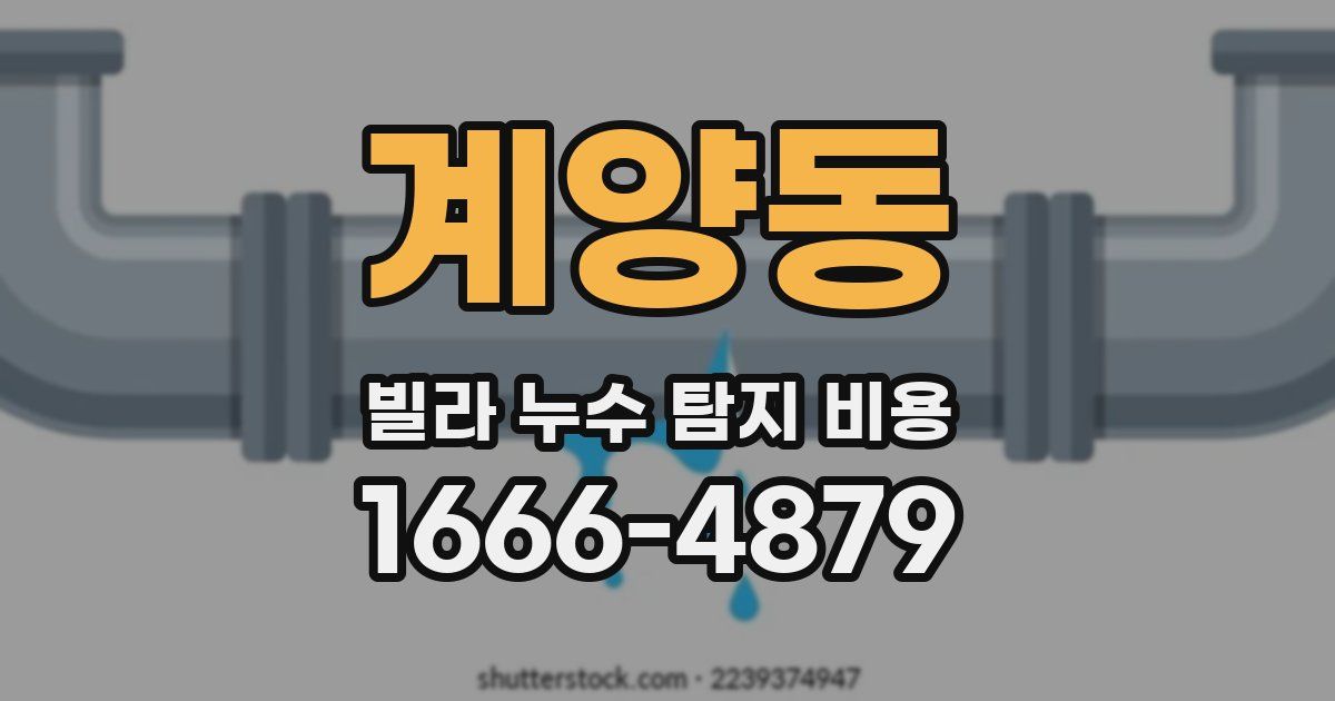 계양동 빌라 누수 탐지 비용