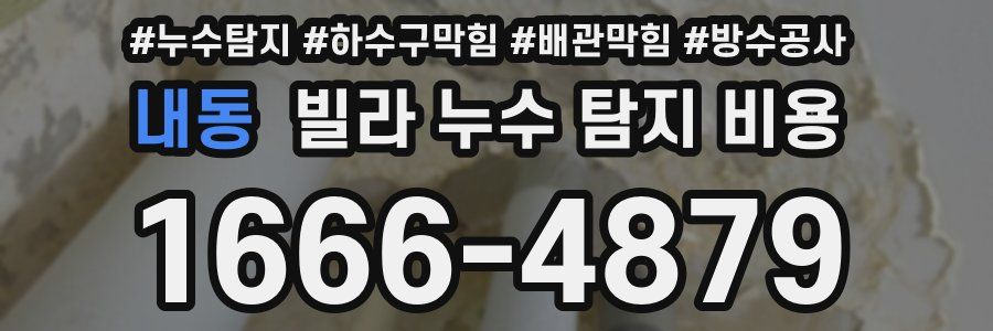 내동 빌라 누수 탐지 비용