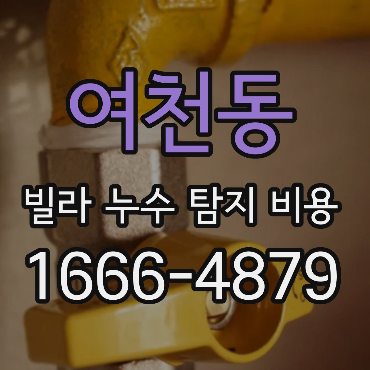 여천동 빌라 누수 탐지 비용
