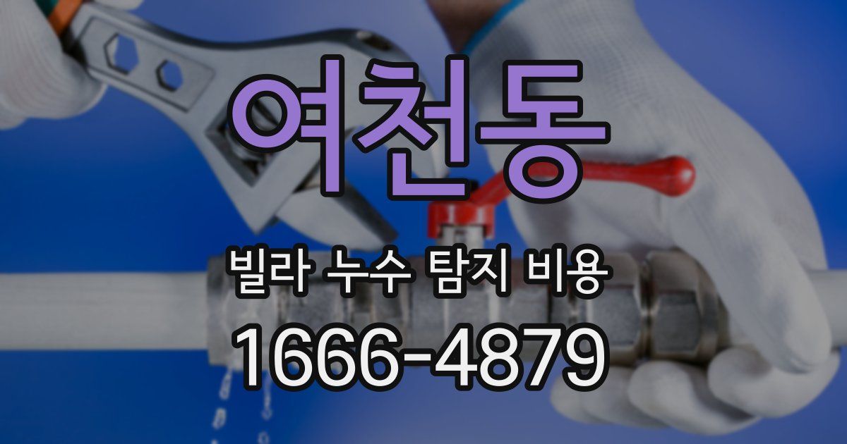 여천동 빌라 누수 탐지 비용