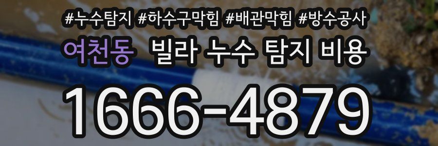 여천동 빌라 누수 탐지 비용